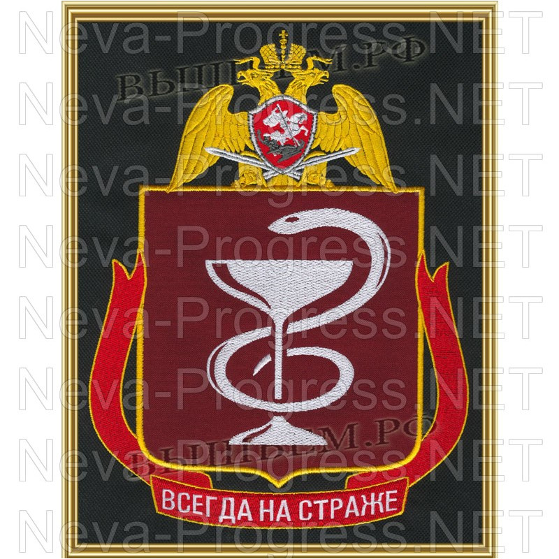 Картина вышитая с символикой (в рамке) медицинские части, непосредственно подчиненные директору ФС ВНГ РФ