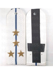 Погоны POGON-KANITEL-153 с вышивкой канителью, цена указана за пару погон