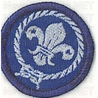 Шеврон скаутов World Scout Environment Badge images